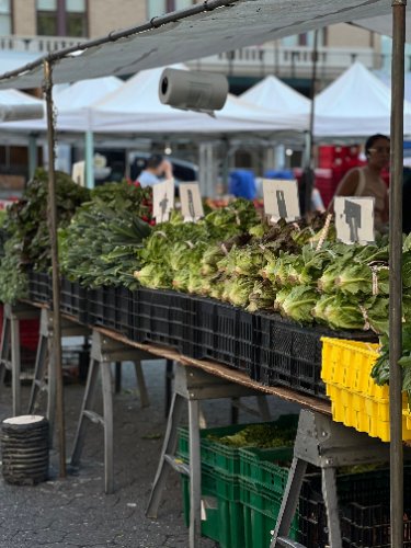 Vendita di Prodotti Agricoli Locali: Come Farlo a Costo Zero